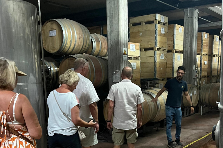 Catane : visite des vignoblesTournée des vins 5 vins