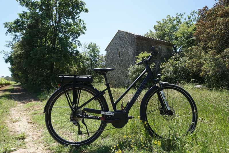 Picknick neben den Lavendelfeldern mit dem E-Bike