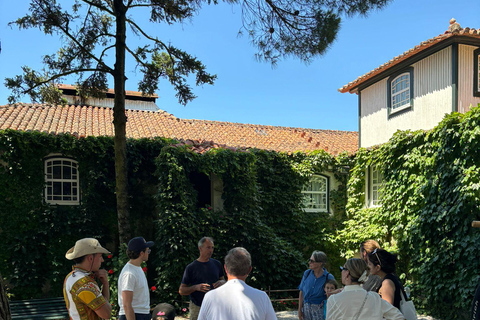 Douro Valley: Wine & Olive Oil Tour with Boat & Lunch Douro Valley: 2 Wineries, Boat Cruise & Traditional Lunch