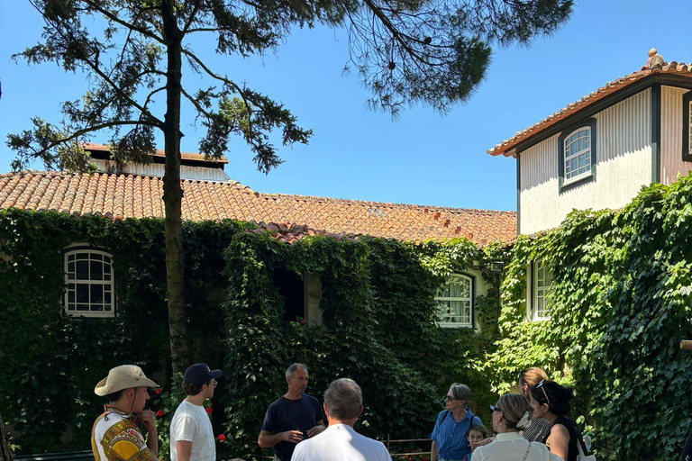 Douro Valley: Wine & Olive Oil Tour with Boat & Lunch Douro Valley: 2 Wineries, Boat Cruise & Traditional Lunch