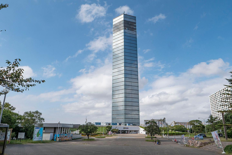 Private Chiba Day Tour: Red Panda Punch, Temple & Bay Tower