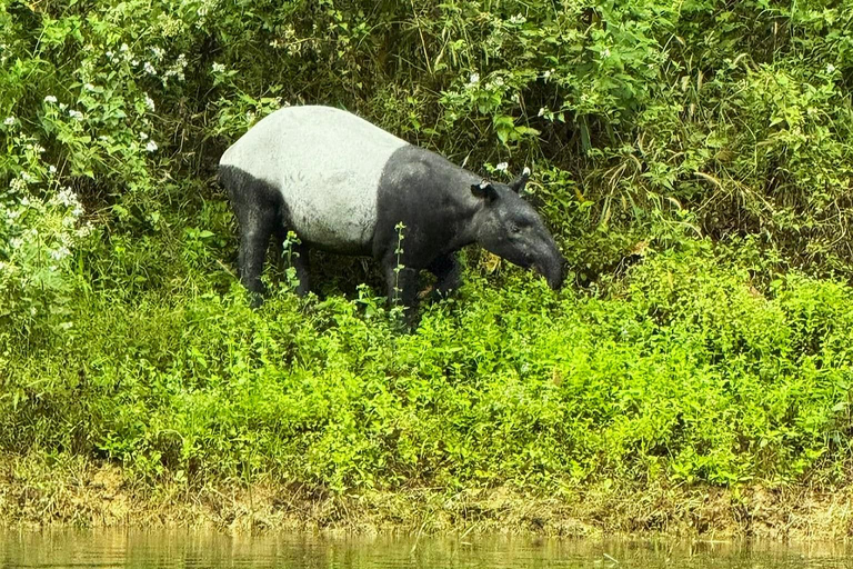 Phuket or Anywhere: 2-Days Cheow Lan Lake & Raft-Resort-FAN Option 1: From KhaoLak+KhaoSok with Roundtrip Hotel Transfer