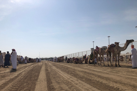 Doha: Camel Race Track/Mushroom Hill/Richard Serra Sculpture