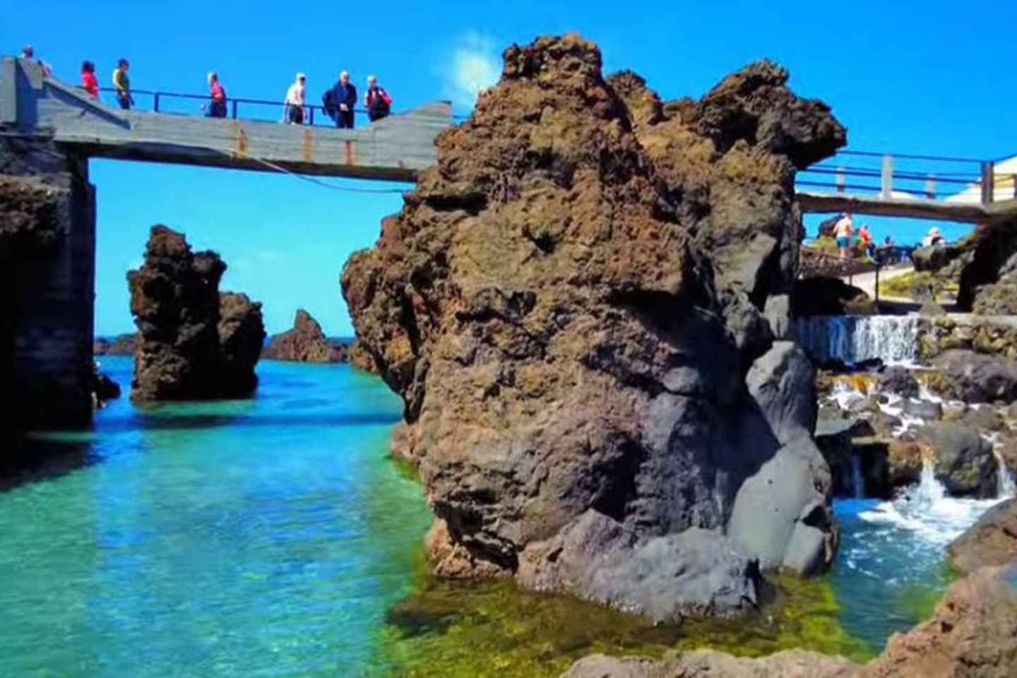 From Funchal: West Madeira Waterfalls and Fanal Forest Tour