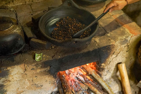 Ubud: Waterfalls & Temple with Rice Terrace Small-Group Tour Small Group Tour with Hotel Transfer (Tickets Excluded)