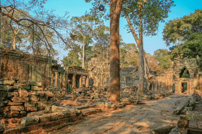 Siem Reap : Private Tuk-Tuk Tour of the Magnificent Temples.