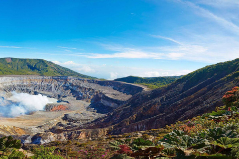 5-Day Pura Vida Adventure: Volcano and Jungle in Costa Rica