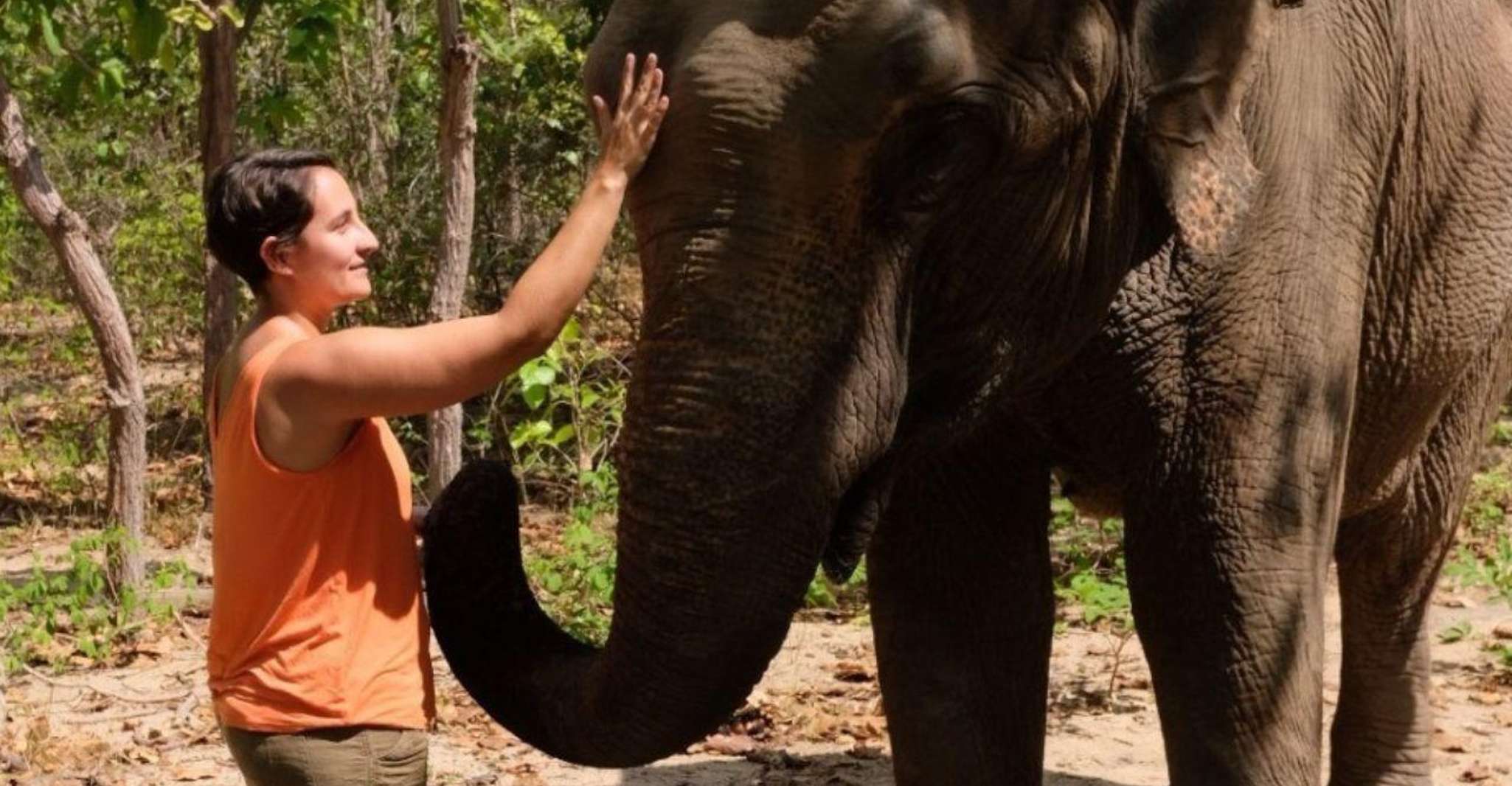 Phnom Tamao Wildlife Center, Boeddha Kiri Cambodia Day Tour - Hizvo