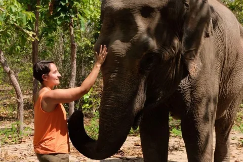 Phnom Tamao Wildlife Center & Buddha Kiri Cambodia Day Tour