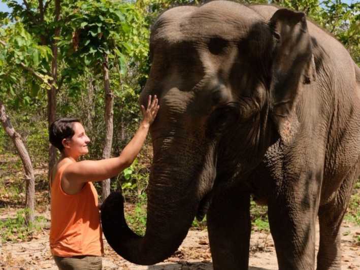 Phnom Tamao Wildlife Center, Buddha Kiri Cambodia Day Tour