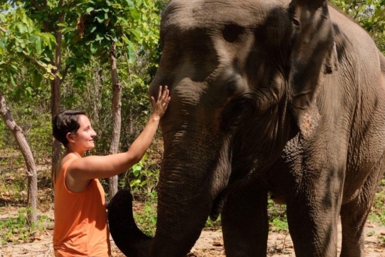 Phnom Tamao Wildlife Center, Boeddha Kiri Cambodja-dagtour