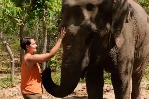 Excursão de um dia ao Phnom Tamao Wildlife Center e Buddha Kiri Camboja