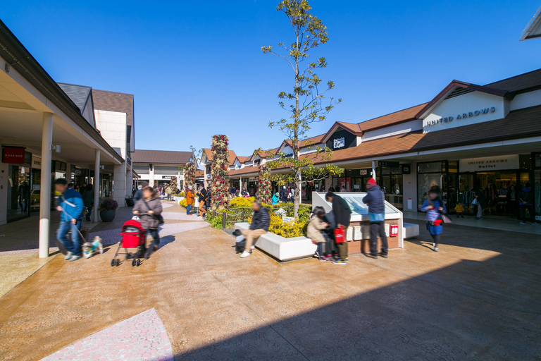 Nagoya: Toyokawa Inari Shrine, Fruit Picking & Shopping Option D: Inari Shrine, Picking, Mitsui Outlet
