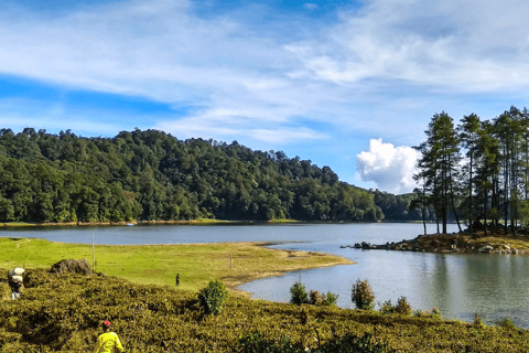 Jakarta : Circuit des lacs du cratère blanc volcanique et des plantations de thé