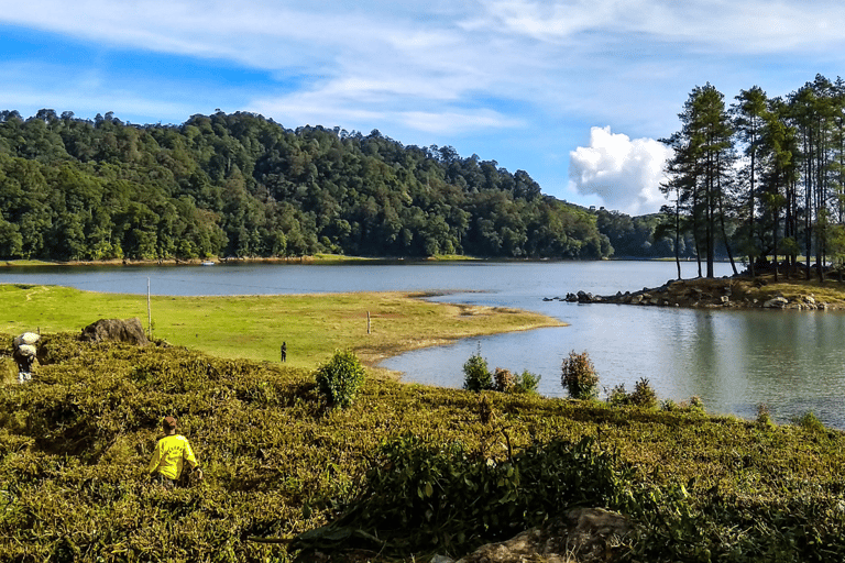 Jakarta : Circuit des lacs du cratère blanc volcanique et des plantations de thé