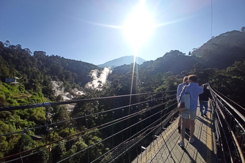 Vulcano, sorgenti calde, bagni di fango e tour del tè: tutto inclusoGiro aperto