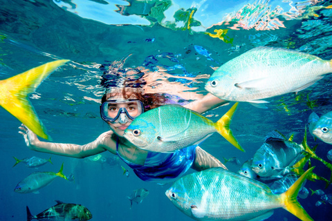 Kizimkazi Snorkeling and Dolphin full-day tour with BBQ Private Tour (All inclusive)