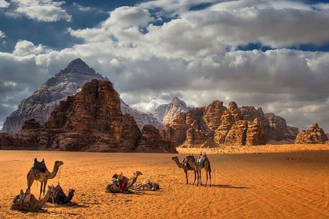 Ganztägige Tour nach Wadi Rum von Amman oder dem Toten Meer