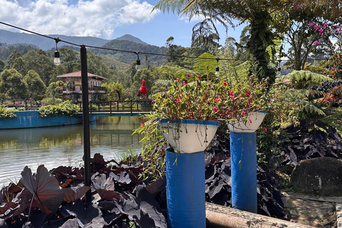 Medellín: 2-Day Jardín and Tapartó Tour with Accommodation