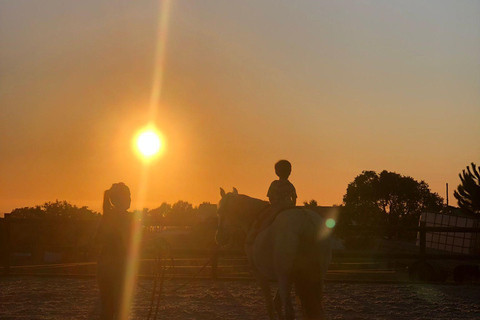 Costa Alentejana: Horse tour in Serra de Grândola