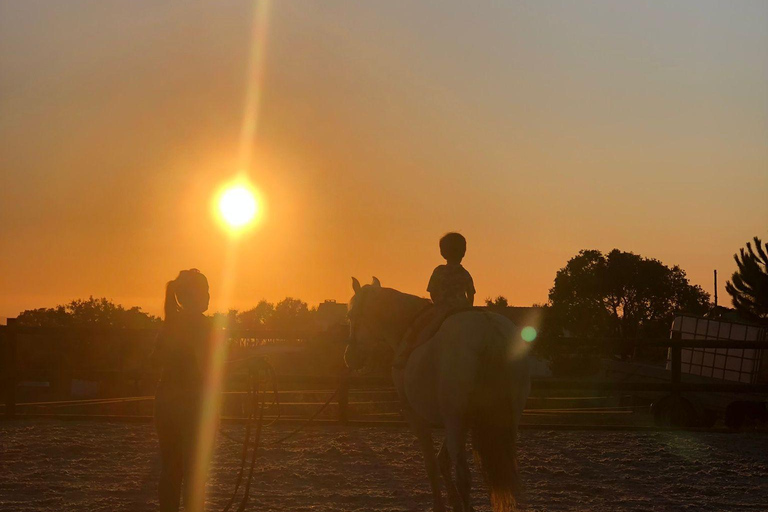 Costa Alentejana: Horse tour in Serra de Grândola