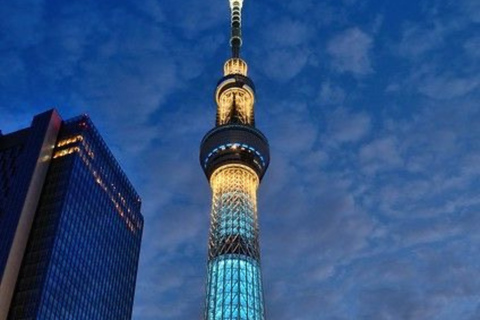 Tokyo Full Day Private Sightseeing Tour with English Driver