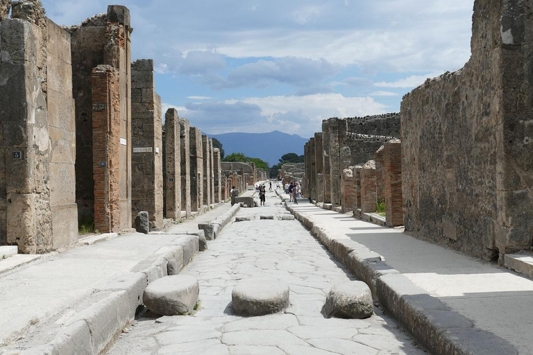 Från Rom: Pompeji och Vesuvio Guidad dagsutflykt med lunchFrån Rom: Pompeji och Vesuvius Guidad dagsutflykt med lunch