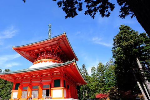 Kyoto: Koyasan World Heritage Digital Ticket