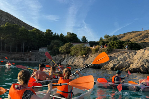 Golfo Aranci: transparent or traditional kayak, dolphins, and aperitif Sunset Tour in a Traditional Kayak with Aperitivo and Dolphins