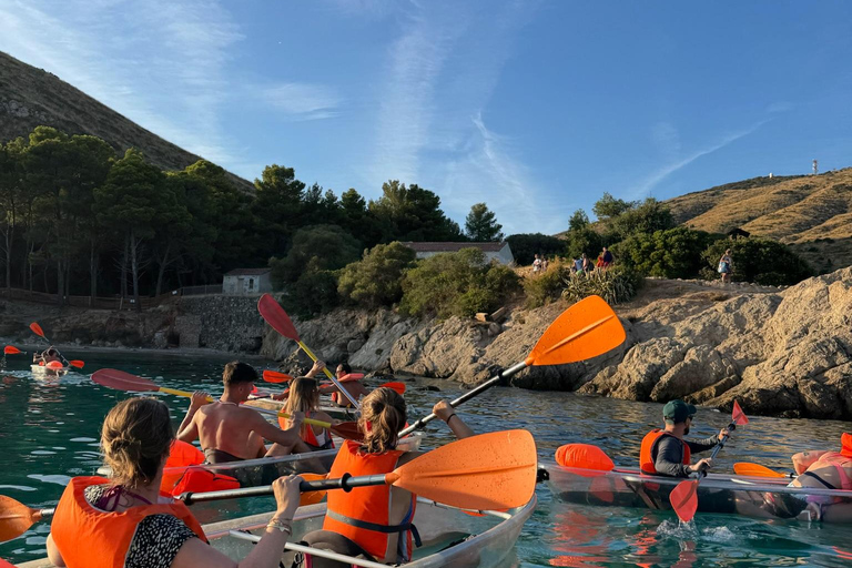 Golfo Aranci: transparent or traditional kayak, dolphins, and aperitif Sunset Tour in a Traditional Kayak with Aperitivo and Dolphins