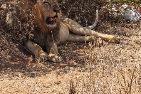 Safari med övernattning till Tsavo East från Mombasa / Diani Beach