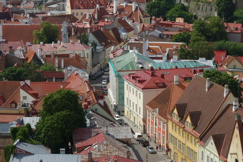 Tallinn: Private Old Town Walking Tour with Local Guide