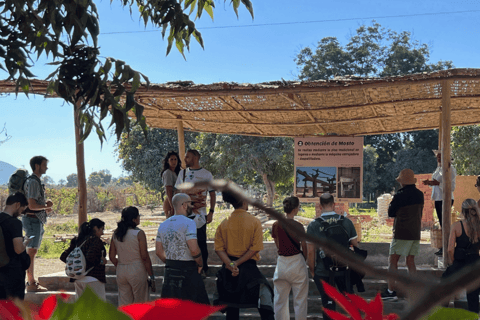 Pro Sanboarding ou esqui em Huacachina a partir de Lima - Viagem de 1 dia