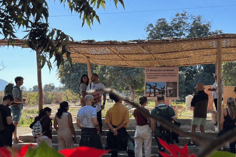 Pro Sanboarding ou esqui em Huacachina a partir de Lima - Viagem de 1 dia