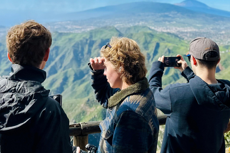 Tenerife: Anaga Hidden Gems Tour with Free Pickup Explore Anaga's hidden gem. Private tour.
