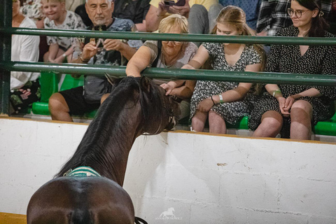 Torremolinos: Spanish horse show and flamenco with dinner option Guided visit and entrance to the show with a seat in a preferential area.
