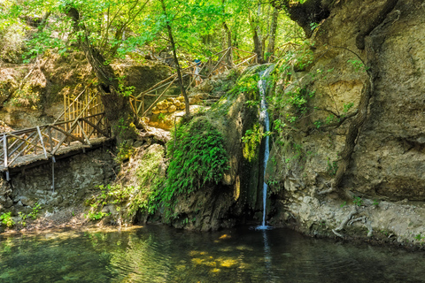 Rhodes: Butterfly Valley Half-Day Bus Trip