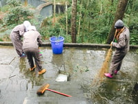 Volunteer Project Project Project Trip (Wole Call 