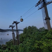 Taipei: Zoo, Maokong Gondola, and Experience Ticket