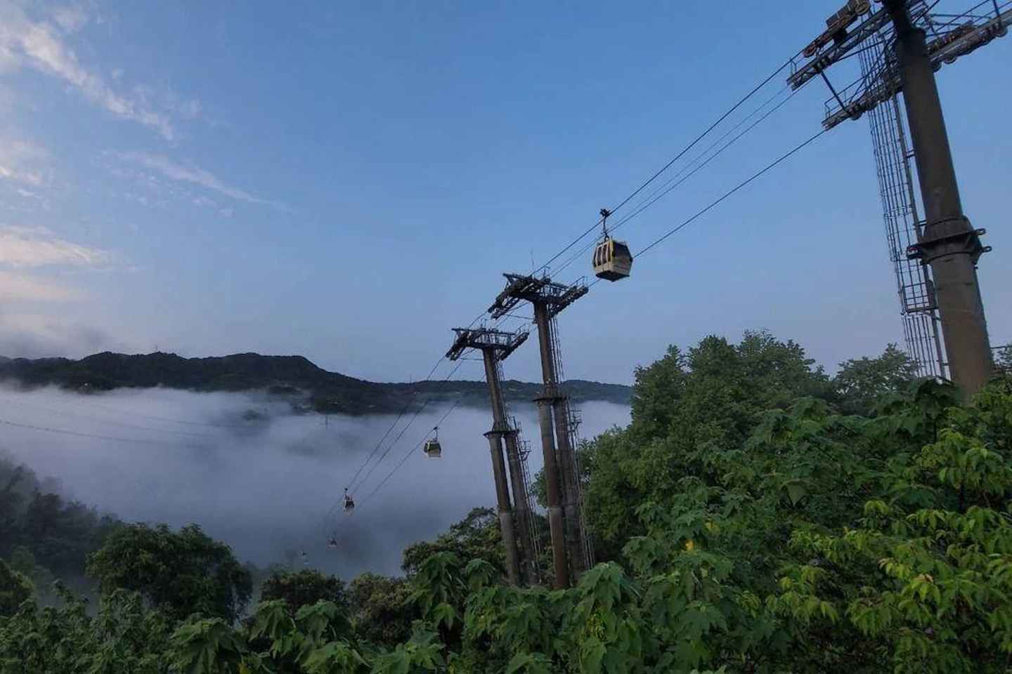 Taipei: Zoo, Maokong Gondola, and Experience Ticket - Taipei: Zoo, Maokong Gondola, and Experience Ticket