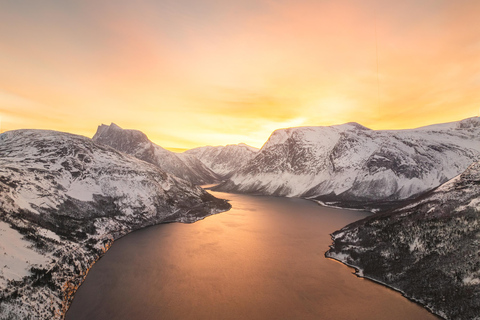 Explora os fiordes noruegueses e a vida selvagem a partir de Abisko.