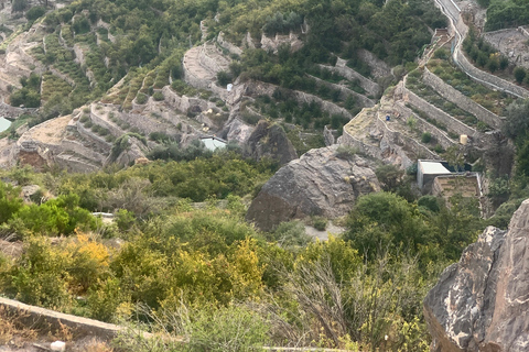 Mascate: Traslado privado a/desde la Montaña Verde de Jabal AkhdarTraslado desde los hoteles de la ciudad de Mascate o el aeropuerto a Jabel Akhder