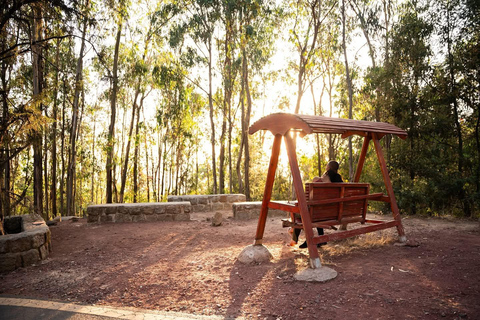 Addis Ababa: Mount Entoto Forest & City View Spa Escape