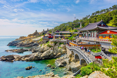 Busan: Haedong Yonggungsa & Haeundae【Chinese Driver】