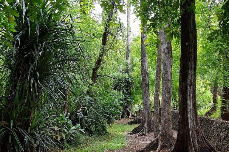 Mombasa: Tour privado de un día con el Parque Haller y el Fuerte Jesús