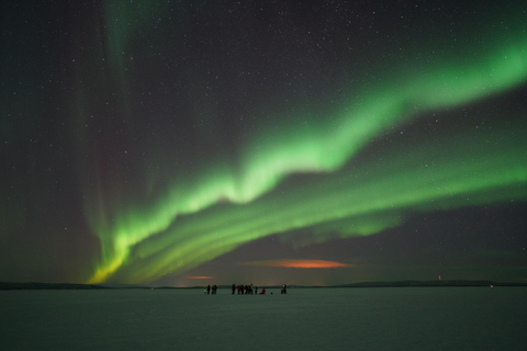 Northern Lights Rovaniemi Guaranteed & Unlimited KM Hunting