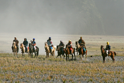 Arusha: Horseback Riding Experience