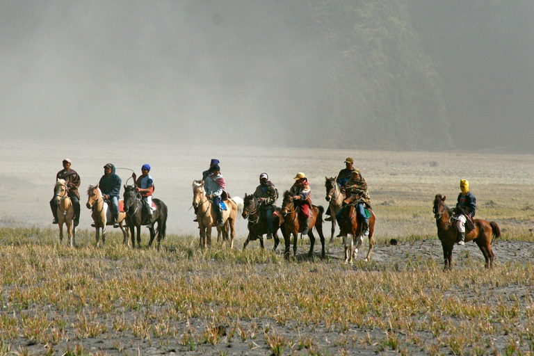 Arusha: Horseback Riding Experience