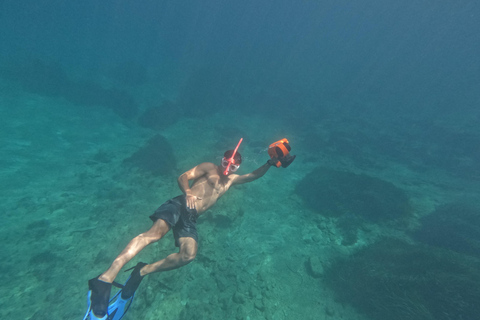 Paphos: Schildpadden kijken Snorkelen Zee Scooter Trip