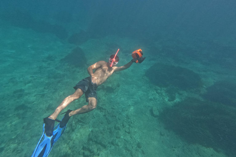 Paphos: Observação de tartarugas com snorkel Passeio de scooter marítimo